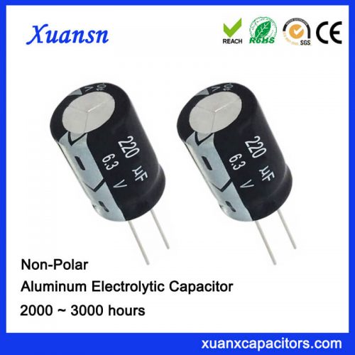 General Electrolytic Capacitor 220UF6.3V 2000Hours CE RoHS Approval